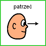 KROK 4 Wnikliwie jak wyrasta nasza rzeżucha.