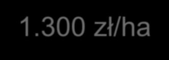 Murawy (4.3, 5.3) 1.