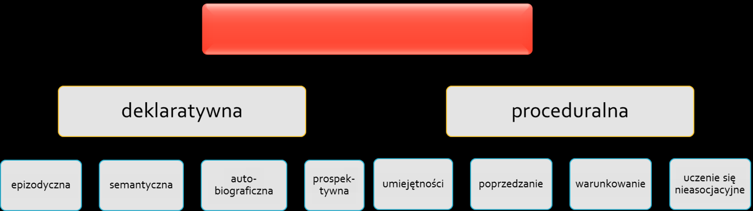 PAMIĘĆ DŁUGOTRWAŁA (LTM) jest najbardziej zróżnicowanym systemem pamięci ślady pamięci długotrwałej utrzymują się przez