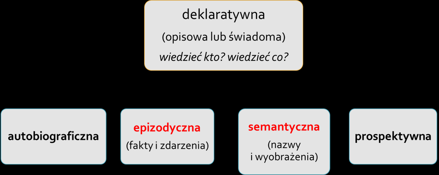 PAMIĘĆ DEKLARATYWNA może być nabywana bardzo łatwo nierzadko wystarczy jednorazowa ekspozycja bodźca informacje przechowywane w pamięci deklaratywnej mogą pochodzić z wielu modalności sensorycznych i