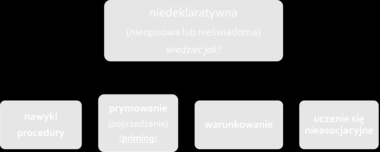 prążkowie dod. kora ruchowa kora ruchowa kora czołowa zależność od modalności p.