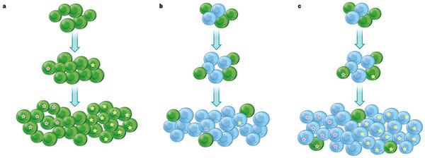 Synteza DNA Mutacje/zaburzenia struktury DNA