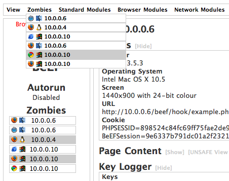 Zaawansowane metody wykorzystania XSS BeEF Browser Exploitation Framework stworzony przez Wade Alcorn, do pobrania z http://www.bindshell.