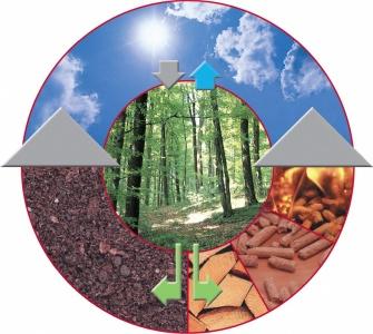 ATUTY DREWNA JAKO SUROWCA ENERGETYCZNEGO Biomasa drzewna przeważa wśród nośników energii zaliczanych do biomasy stałej Atuty drewna jako nośnika energii to jego właściwości techniczne i użytkowe,