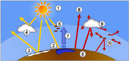 PROMIENIOWANIE POWIERZCHNI ZIEMI lub wypromieniowanie jest to oddawanie otoczeniu części energii uzyskanej od Słońca po przetworzeniu jej w długofalową energię cieplną.