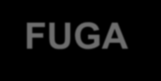 Konkurs FUGA informacje podstawowe Wnioskodawcami są osoby rozpoczynające karierę naukową, które nie wcześniej niż 5 lat przed rokiem ogłoszenia konkursu na finansowanie stażu podoktorskiego uzyskały
