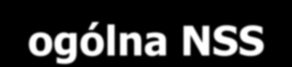 Charakterystyka ogólna NSS Łączna wartość środków finansowych zaangażowanych w realizację NSS to 85,6 mld euro, w tym 68 mld euro to fundusze