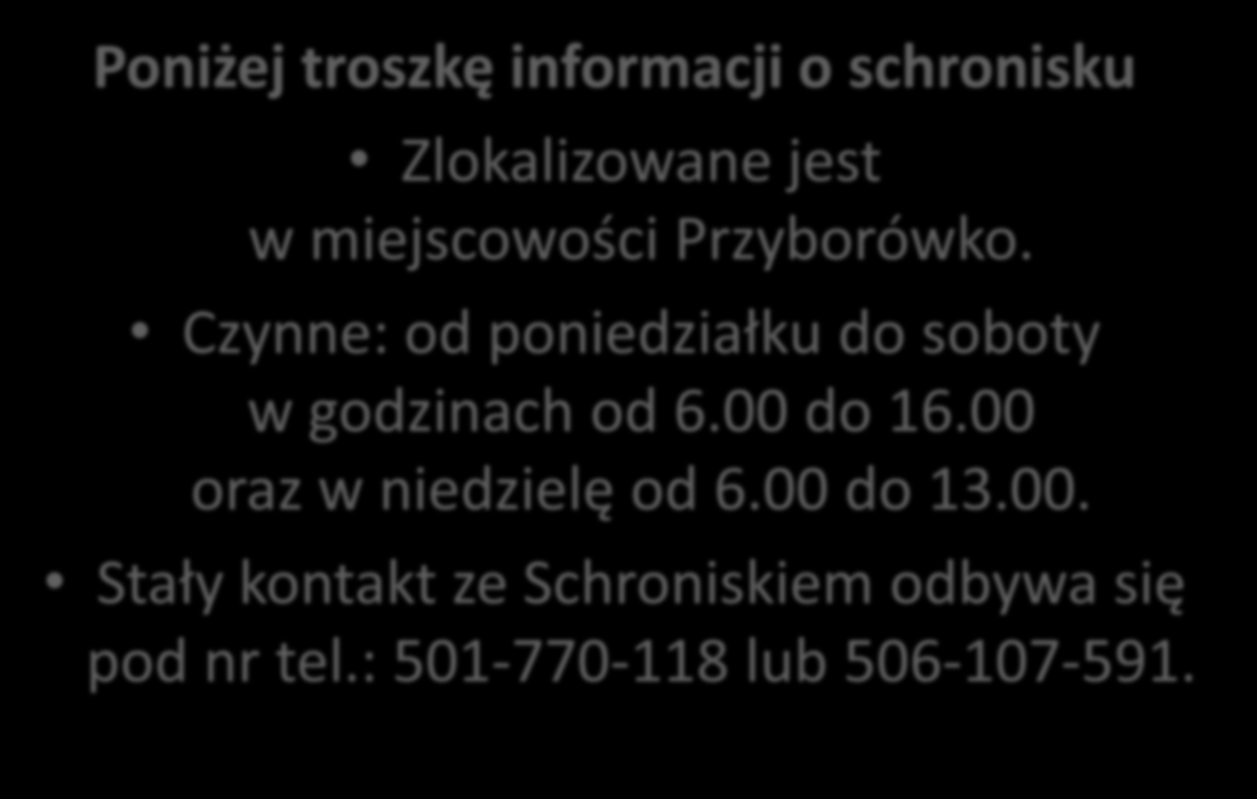 Poniżej troszkę informacji o schronisku Zlokalizowane jest w miejscowości Przyborówko.