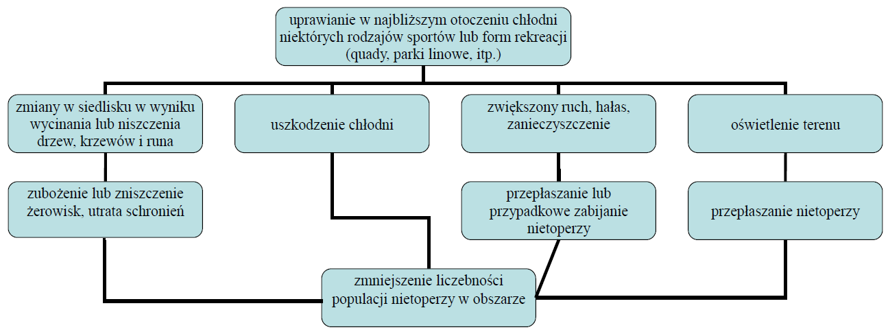W ostatnich latach coraz bardziej popularne są różne sporty uprawiane w terenie (np.