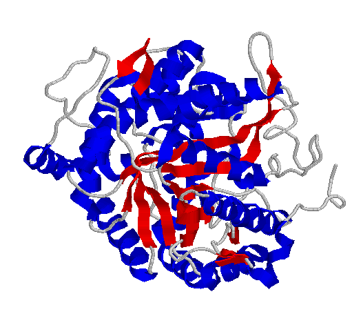 Enzymy wykorzystane w doświadczeniach zestawu Amylaza (E.C. 3.2.1.1 ) Ryc. 3. Struktura przestrzenna amylazy. Na żółto zaznaczone są betakartki, na różowo alfahelisy [1amy.pdb: Kadziola, A., Abe, J.