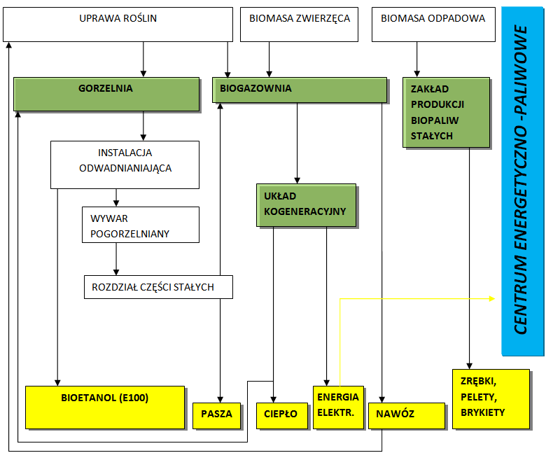 PRZEDSIĘBIORSTWIE