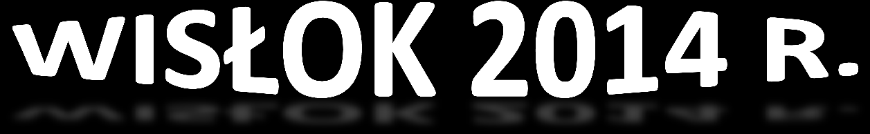 Organizator: Śląskie Stowarzyszenie Kajakowe WIKING przy Zespole Szkół Techniczno Informatycznych w Gliwicach Honorowy Patronat PREZYDENT MIASTA KROSNO Współorganizatorzy: Polski Związek Kajakowy
