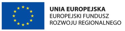 zgłoszonego do dofinansowania w ramach Działania 8.2 Wspieranie wdrażania elektronicznego biznesu B2B Programu Operacyjnego Innowacyjna Gospodarka zgodnie z wnioskiem nr WND- POIG.08.02.