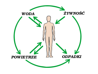 44 ROZDZIAŁ 4.