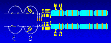 biotechnologii, z rekombinacji DNA