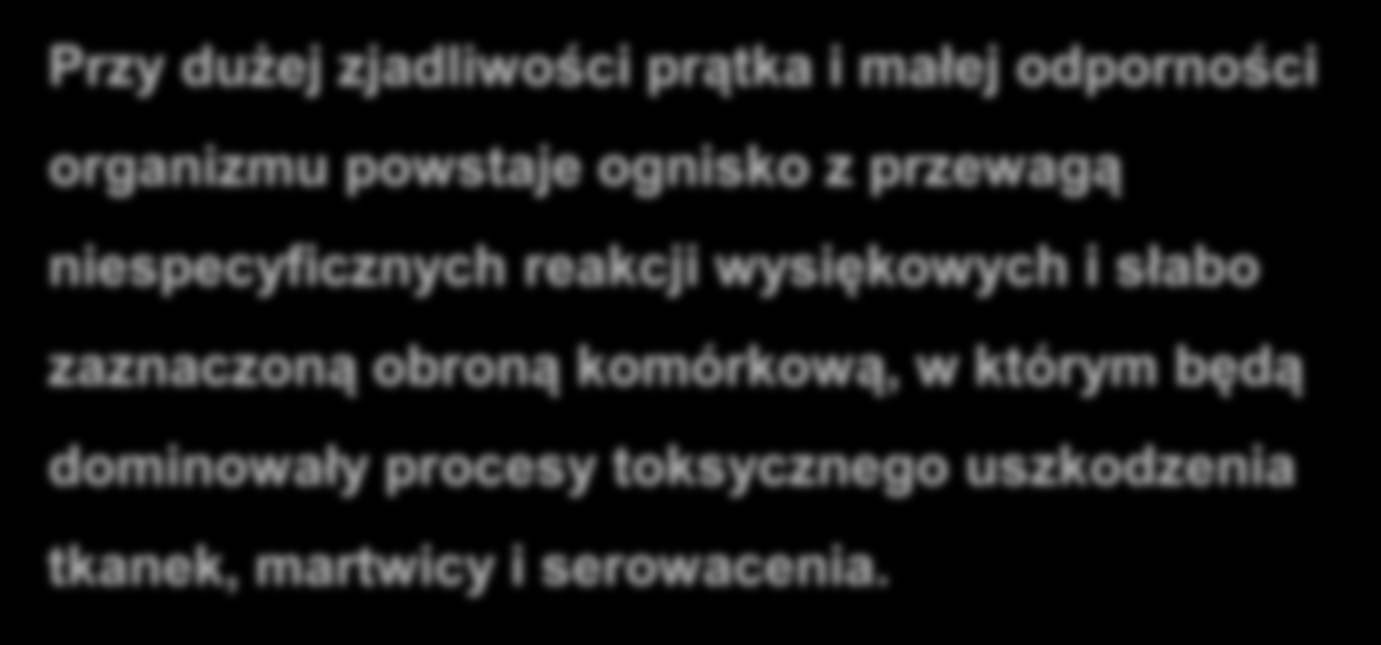 Gruźlica kostno-stawowa Przy dużej zjadliwości prątka i małej odporności organizmu powstaje ognisko z przewagą niespecyficznych reakcji