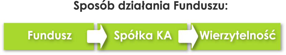 Charakterystyka Funduszu Celem inwestycyjnym Subfunduszu subgo Fund Wierzytelności jest wzrost wartości aktywów w wyniku wzrostu wartości akcji celowych spółek komandytowoakcyjnych, powołanych do