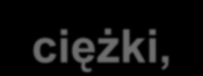 Poszkodowany w dniu wypadku zajmował się montażem zbrojenia w zachodniej części przyczółka