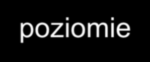 WADY PROGRESJI GLOBALNEJ 1. Teoretyczna możliwość wzrostu stawki do 100% - zatrzymanie progresji na pewnym poziomie. 2.