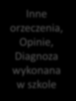 Określenie osób odpowiedzialnych za koordynację pomocy Proces pracy w systemie Analiza diagnozy Orzeczenie o potrzebie kształcenia specjalnego Inne orzeczenia, Opinie, Diagnoza wykonana w szkole IPET