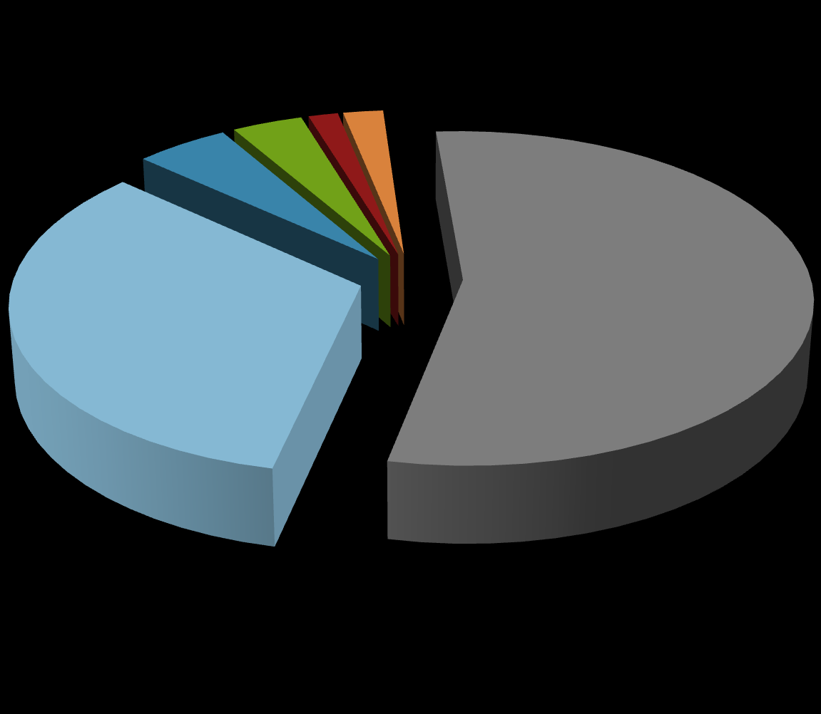 SI BIK Przedsiębiorca w liczbach Struktura bazy ze względu na formy prawne podmiotów 3,68% 1,55% 2,08% 4,90% 33,31% 54,48% Osoba