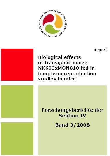 Zagrożenie zdrowia: Kukurydza Bt MON810 Badane myszy wykazały: niższą płodność mniejszą masę ciała Badania austriackiego rządu