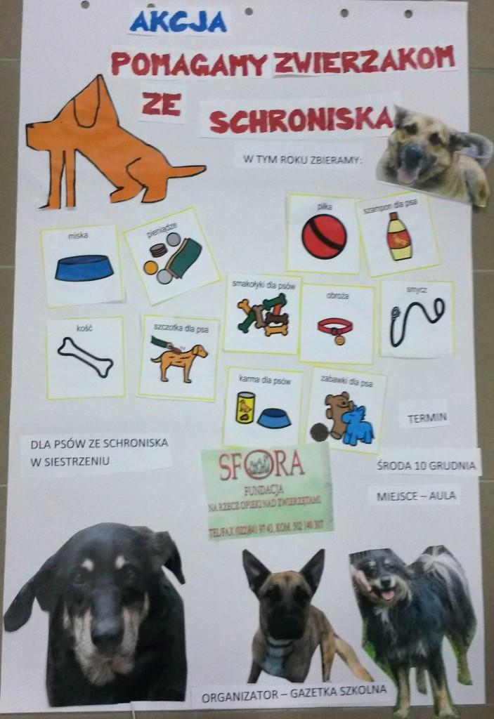 Fundacja SFORA.