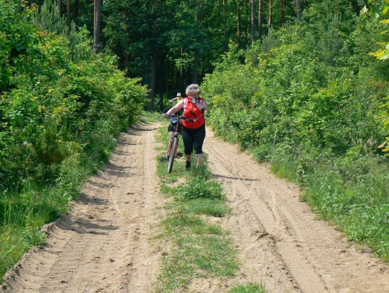 2009-2014 oraz programu pod nazwą ochrona różnorodności biologicznej i ekosysystemów przez Fundację na rzecz integracji zawodowej, społecznej oraz rozwoju przedsiębiorczości VIA w partnerstwie z