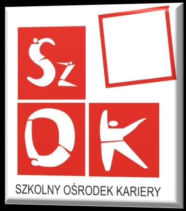 Inne działania wewnątrzszkolne organizowane przez Szkolny Ośrodek Kariery Zajęcia z uczniami w