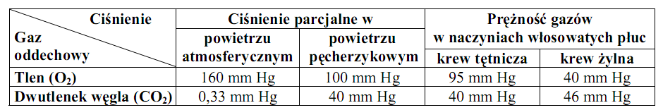 % zawartość Zadanie 5 (3 pkt) Wymiana i transport gazów oddechowych w organizmie człowieka zachodzi na dwóch poziomach: organów jakimi są płuca i w tkankach.