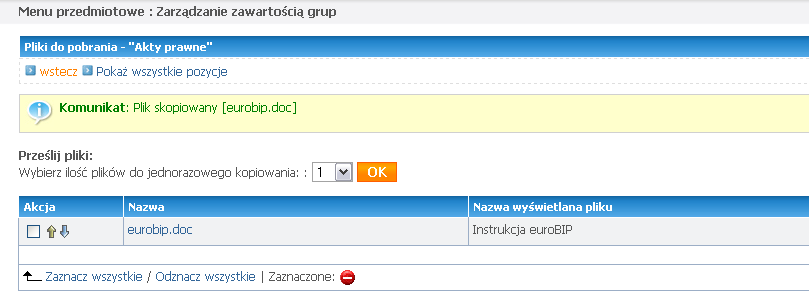 Rys. Formularz dodania plików (wybrano 3 pozycje) Usuwanie plików do pobrania Aby usunąć wybrane pliki, należy zaznaczyć je na liście oraz kliknąć czerwoną ikonkę ze znakiem minusa oznaczającą