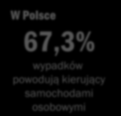 Bezpieczeństwo Ruchu Drogowego Sprawcy wypadków drogowych W