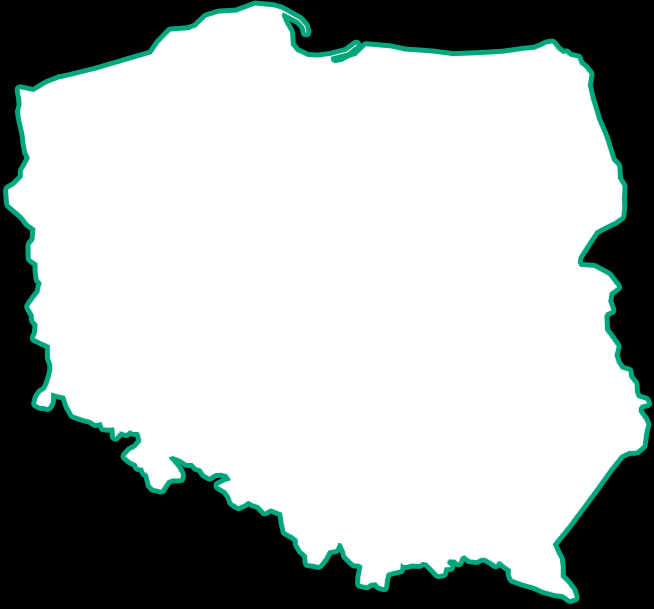 Rozwój działalności w Polsce Pozyskiwanie nowych kanałów sprzedaży Rozwój portfolio produktów i