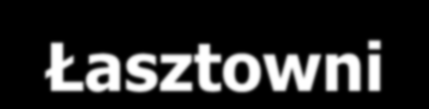 Niezbędne rozwiązanie w przyszłości kwestii transportu zbiorowego wzdłuż Odry zróżnicowany charakter poszczególnych odcinków arterii nadodrzańskiej i konieczność jego