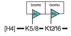 Hipoteza kodu histonowego (Brian D. Strahl & C.