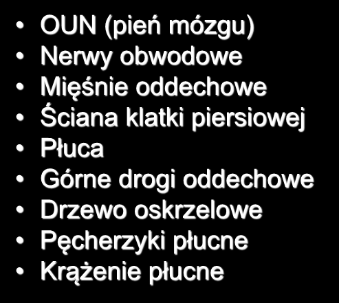 Układ oddechowy OUN (pień mózgu) Nerwy obwodowe Mięśnie oddechowe Ściana klatki