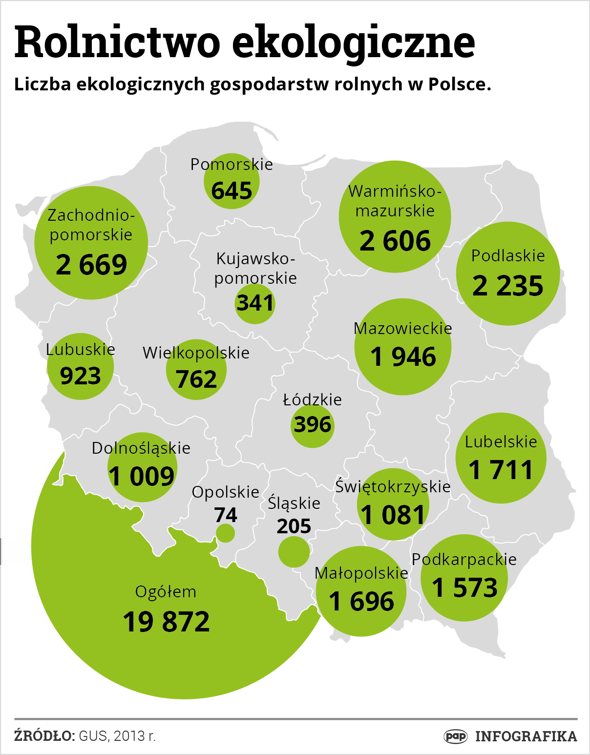 7 Naturalnym bogactwem regionu są lasy, zajmujące