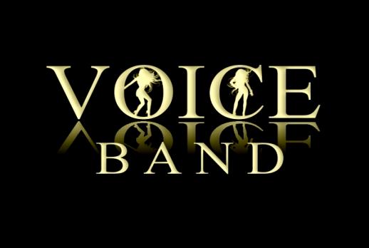 Zespół muzyczny Voiceband www.voice-band.pl infovoiceband@gmail.com tel.