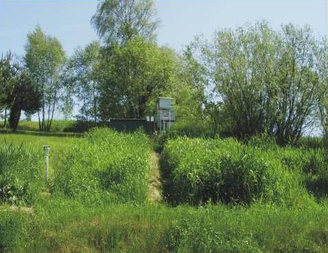 2,0m 45 cm Stokowe złoże trawiasto-gruntowe Stokowe złoża trawiasto-glebowe (Rys.