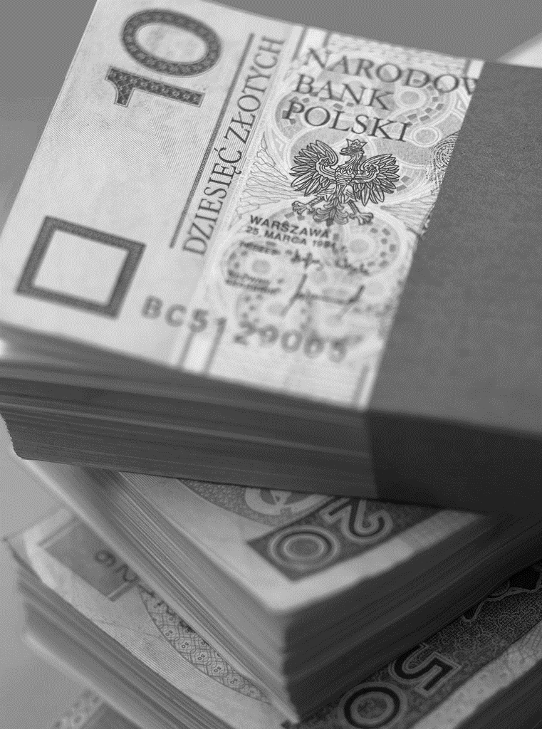 ANALIZOWANE SUBSYDIA Górnictwo węgla kamiennego i brunatnego Wsparcie restrukturyzacji górnictwa Dopłaty do rent i emerytur górniczych Elektroenergetyka węglowa Wykorzystanie dotowanego węgla