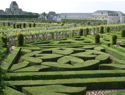 Villandry Ogród w miejscowości Villandry we Francji, zbudowany w stylu renesansowym przez