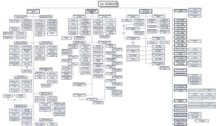 100 spółek z poza branży energetycznej Znaczący udział mniejszości na różnych poziomach struktury korporacyjnej Niemożliwe osiągnięcie przewag konkurencyjnych z uwagi na nieprzejrzystą i niedającą