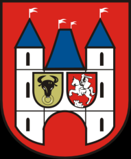 Kalisz stanowi główny ośrodek Kalisko Ostrowskiego Okręgu Przemysłowego.