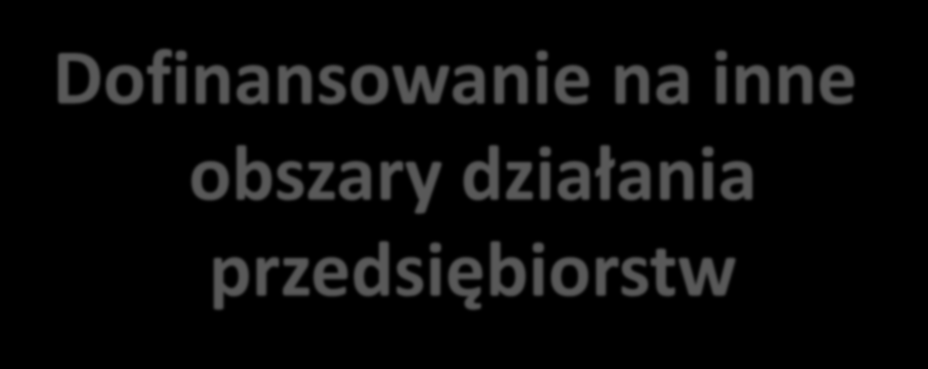 Dofinansowanie na inne obszary działania przedsiębiorstw Informatyzacja i