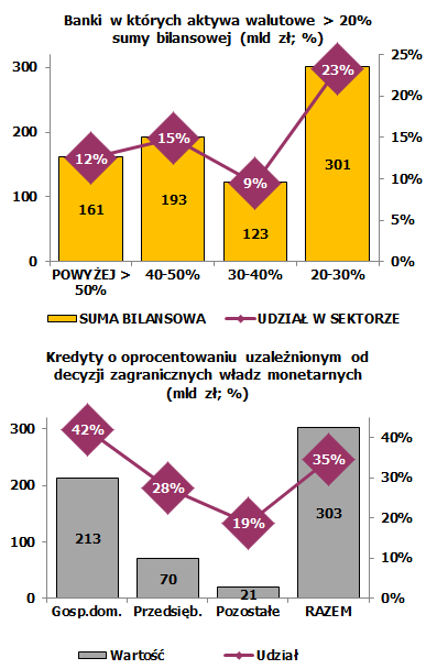 Wysoki udział aktywów walutowych Wysoki udział aktywów walutowych w części dużych i średnich banków Wzrost głównie na skutek osłabienia złotego Wysoki udział aktywów walutowych wynika głównie z