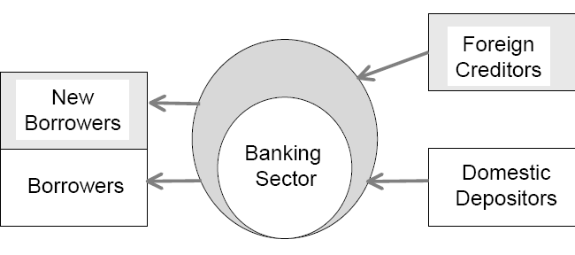 Nadmuchiwanie bilansów banków Hyun Song Shin, Adapting Macroprudential Policy to Global