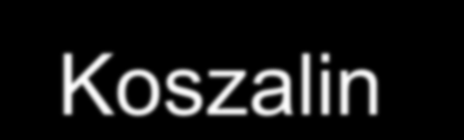 Państwowa