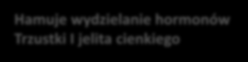 !!!!!!!!! Hamuje wydzielanie hormonów Trzustki I jelita cienkiego Hamuje zewnątrzwydzielniczą Czynność traustki Hamuję perystaltykę I