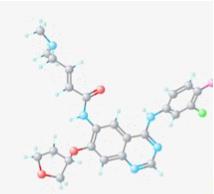 Afatynib Inhibitor nie odwracalny Sygnał HER-1, HER-2, HER-4 Biodostępność 92% Wiązanie z