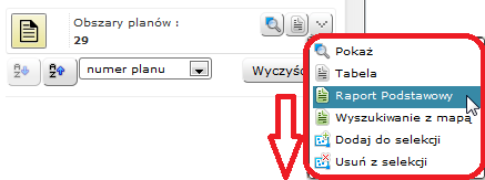 V.4. Akcje jakie można wykonać na wyszukanych obiektach: a) Akcje dedykowane dla grup obiektów: Tabela wyświetla raport zaawansowany